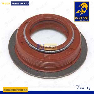 Oil seal