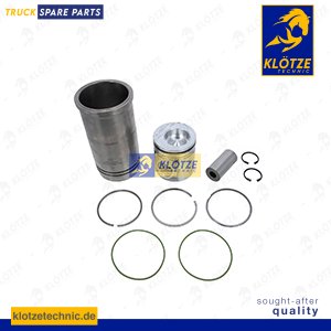 Piston with liner