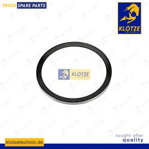 Oil seal