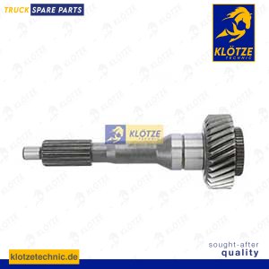 Input shaft
