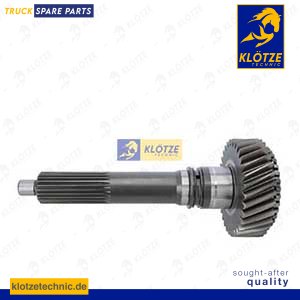Input shaft